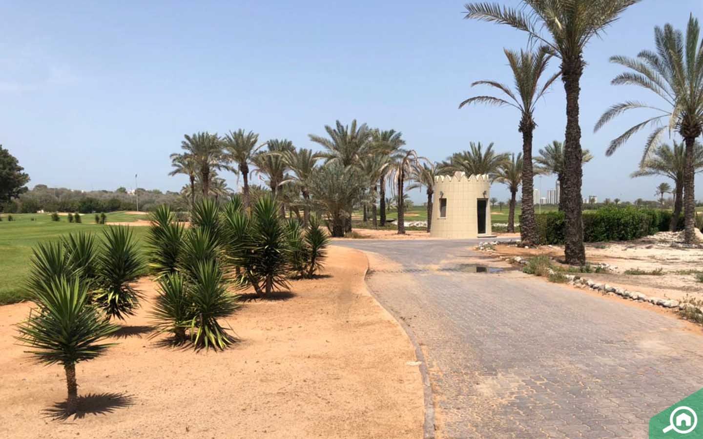 شوارع واشجار الطرفة