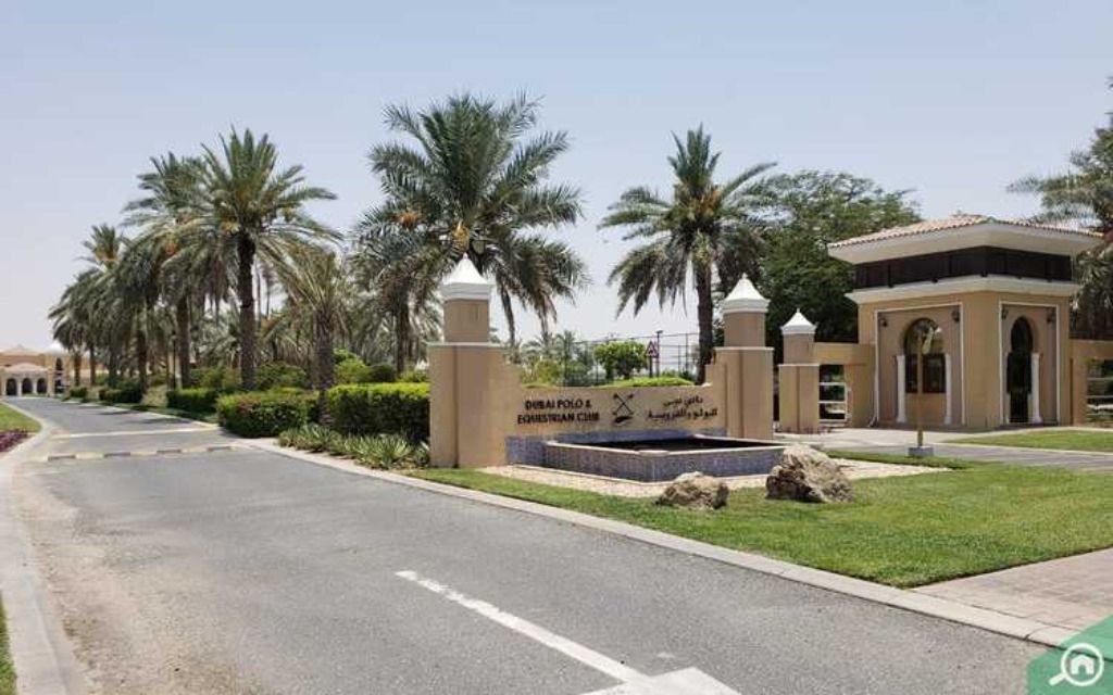 نادي دبي للبولو والفروسية