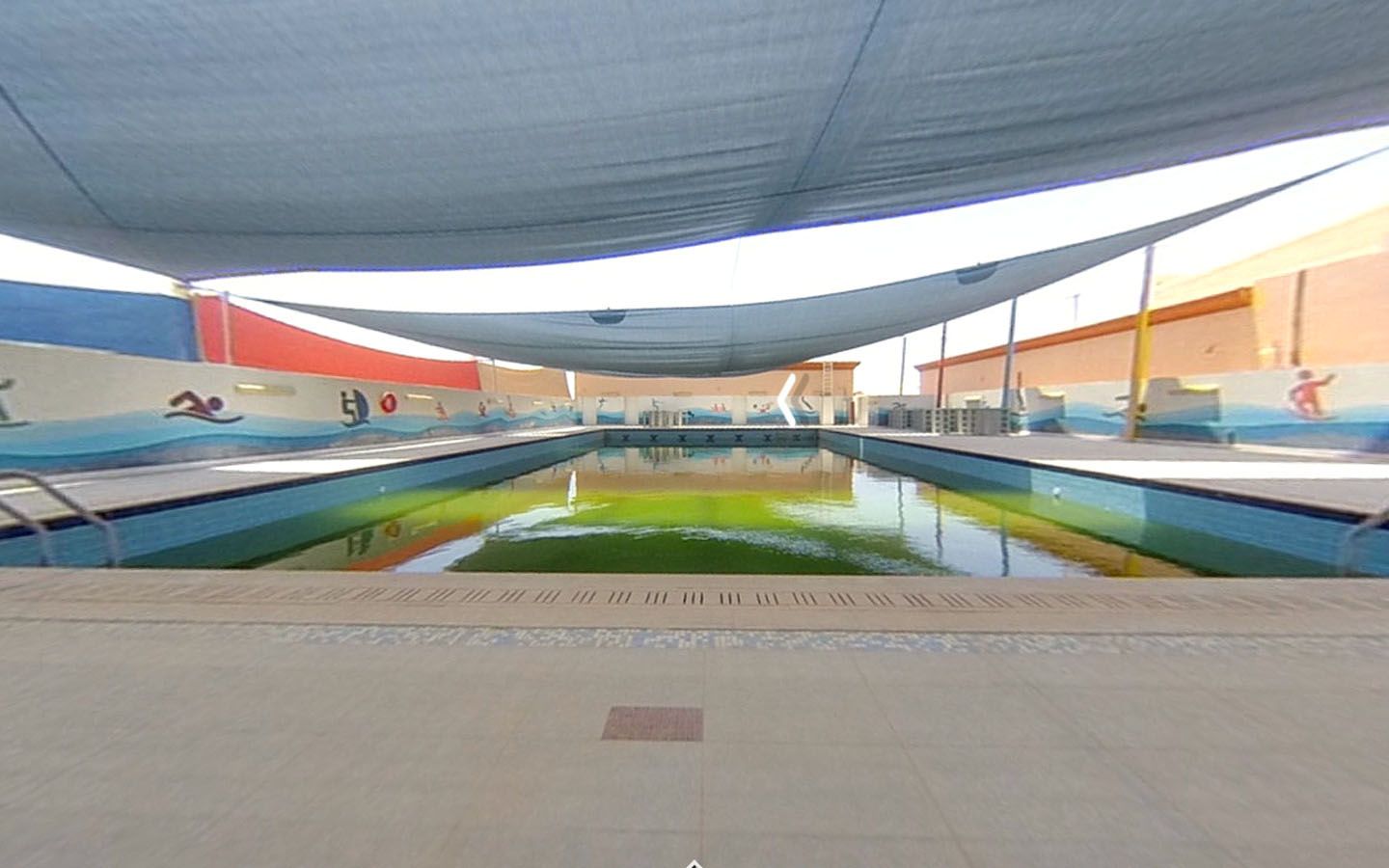 مسبح مدرسة الشارقة الامريكية الدولية
