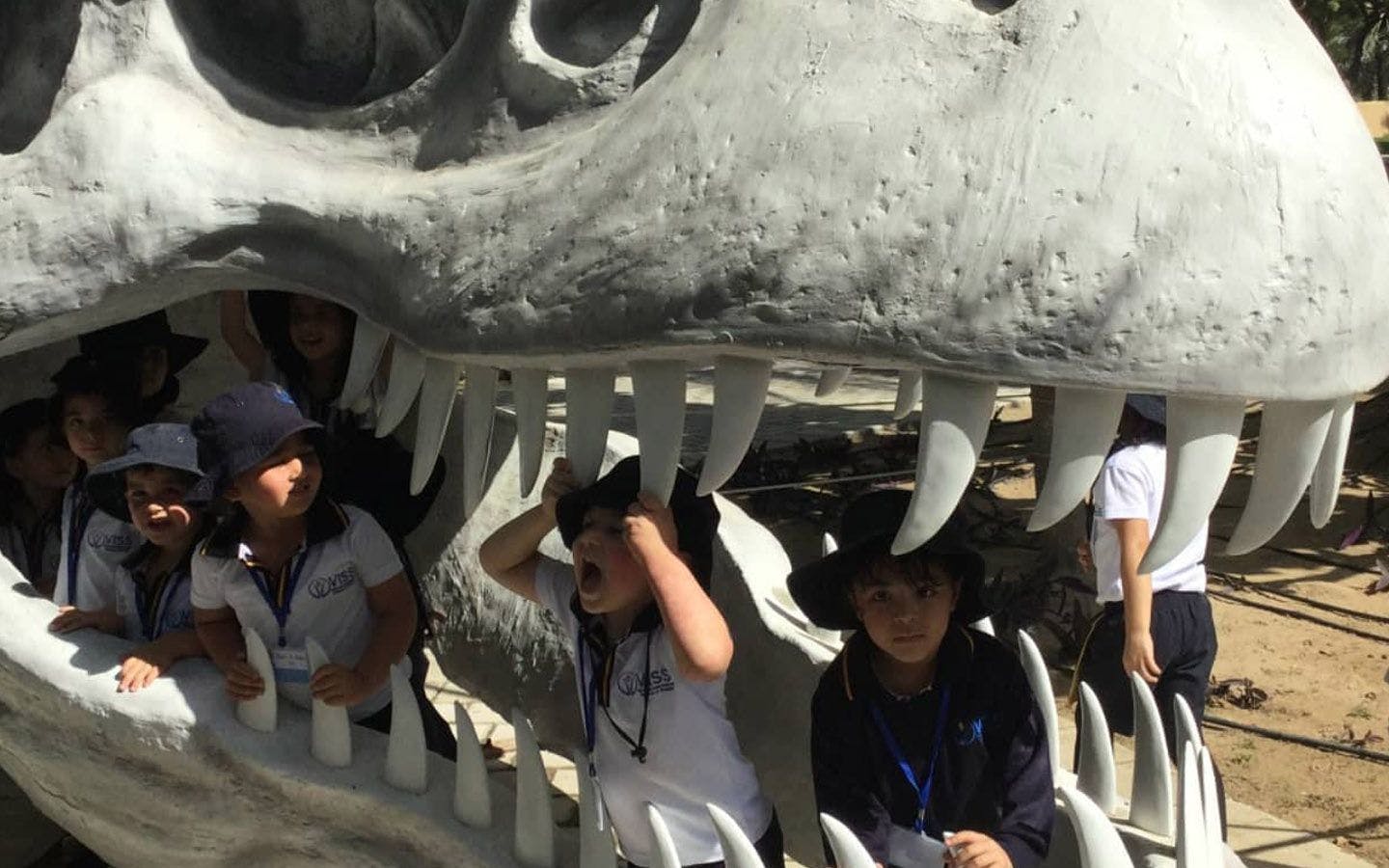 طلاب في حديقة الديناصورات