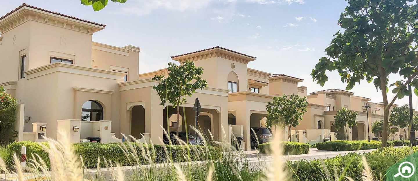 ميرادور لا كوليكسيون، المرابع العربية