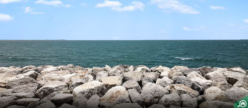 الظيت الشمالي